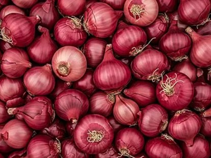 Onions